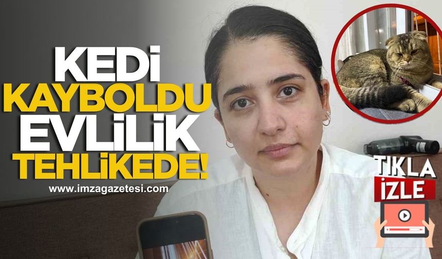 Kedisini bulana 15 bin lira ödül! Kedi kayboldu, evlilik tehlikede...