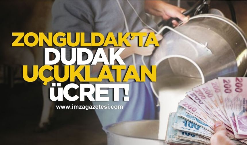 Zonguldak’ta süt üreticilerine dudak uçuklatan ücret!