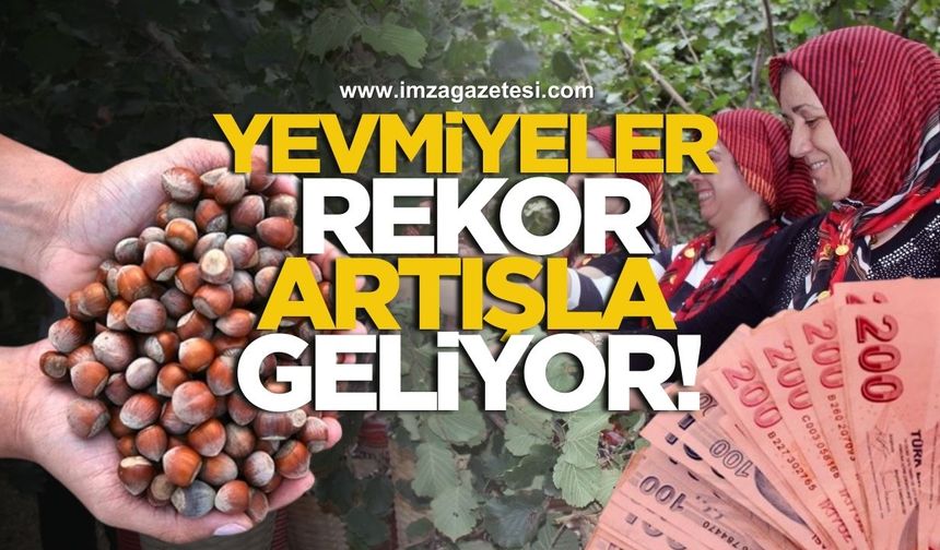 Fındık Yevmiyeleri Rekor Artışla Geliyor!
