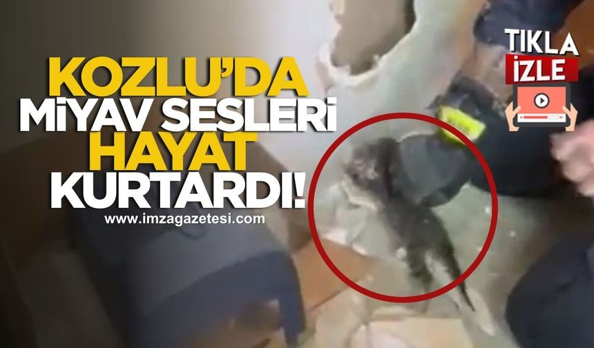 Kozlu'da Miyav Sesleri Hayat Kurtardı!