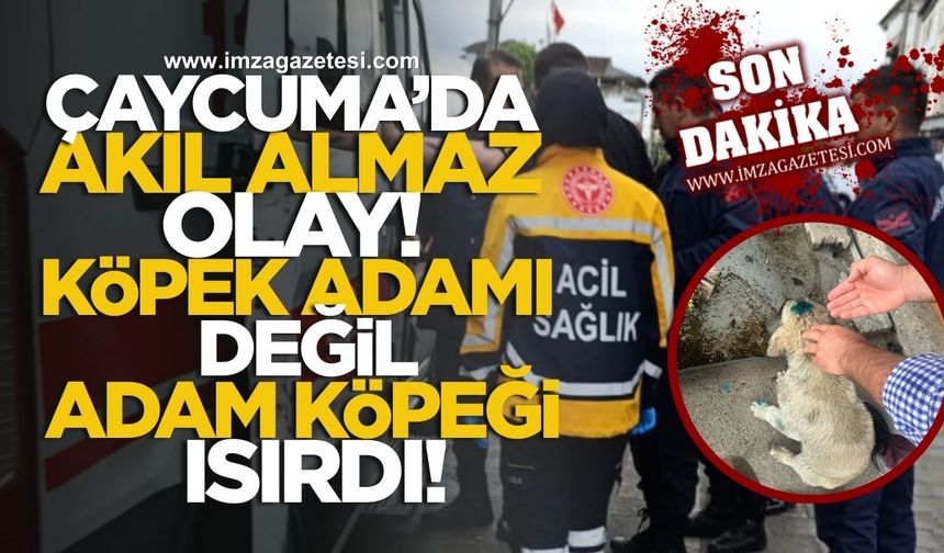 Çaycuma'da akıl almaz olay! Köpek adamı değil, adam köpeği ısırdı!