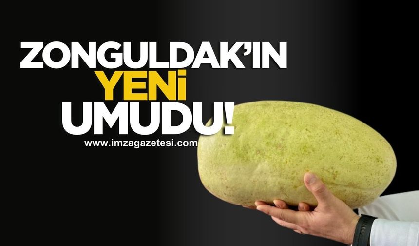 Zonguldak’ın yeni umudu!