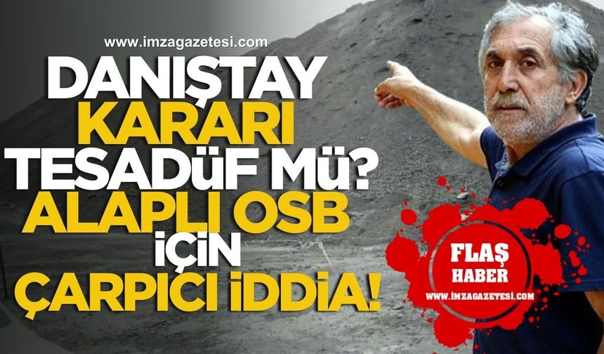 Danıştay Kararı Tesadüf mü? Aktivistten Alaplı OSB İçin Çarpıcı İddia!