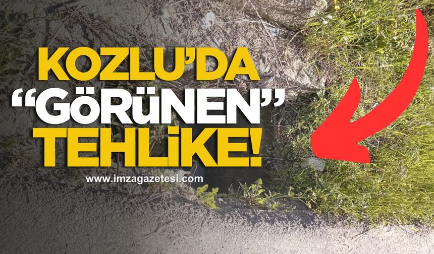 Kozlu’da görünen tehlike! Vatandaş yardım bekliyor