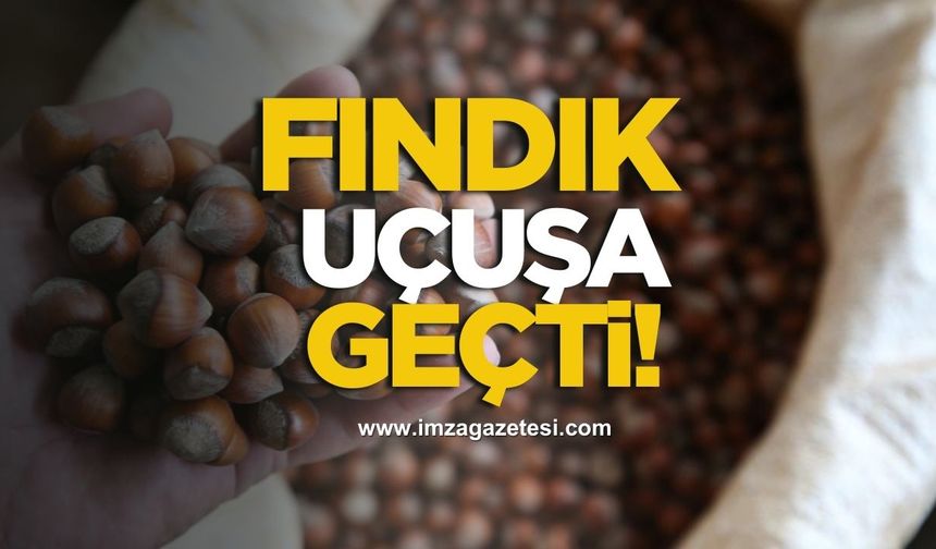 Fındık fiyatları uçuşa geçti!