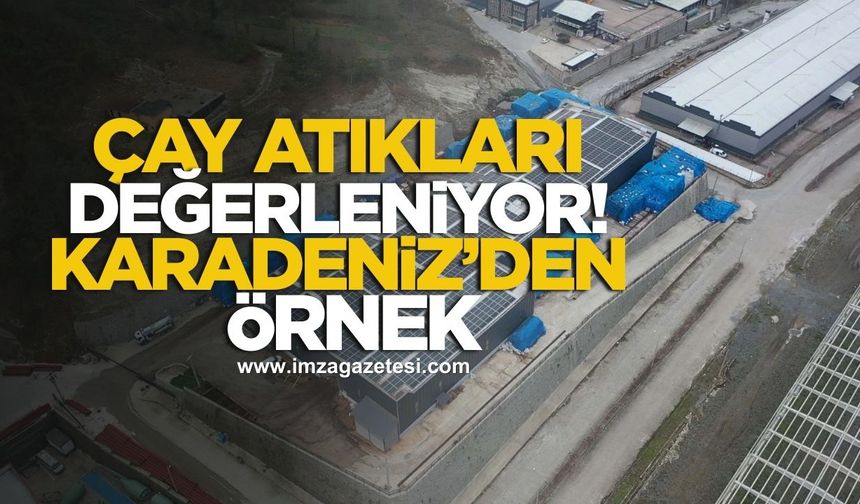 Çay atıkları değerleniyor! Karadeniz'de örnek tesis...