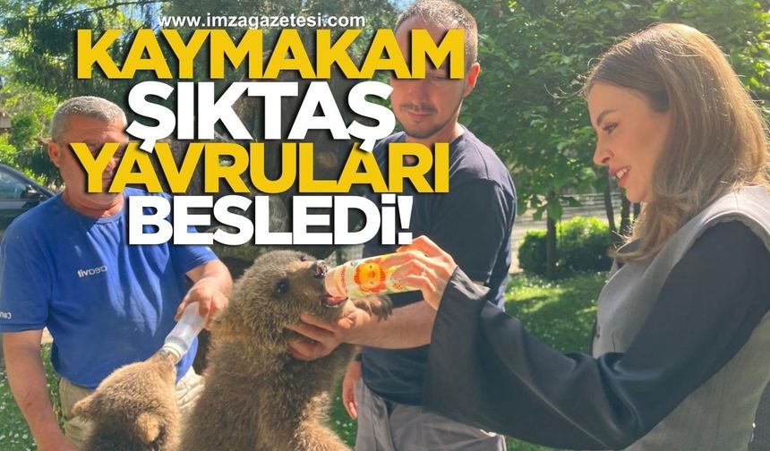 Gökçebey Kaymakamı Ruveyda Kahraman Şıktaş, Yavru Ayıları Eleriyle Besledi...