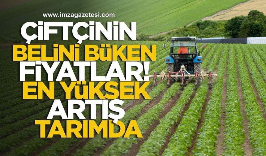 Çiftçinin Belini Büken Fiyatlar! En Yüksek Artış Tarımda