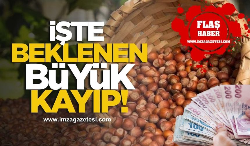 İşte fındıkta beklenen büyük kayıp!