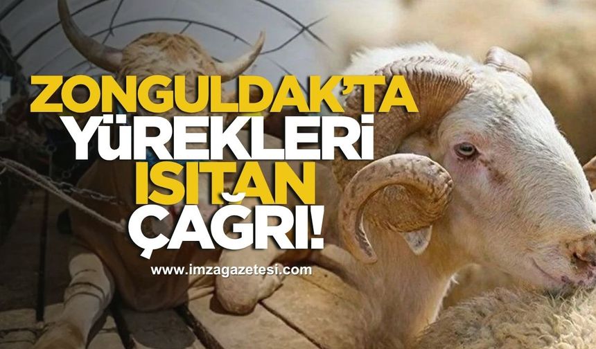 Zonguldak'ta Gönülleri Isıtan Çağrı... “Kurbanını Paylaş, Sofraları Bereketlendir”