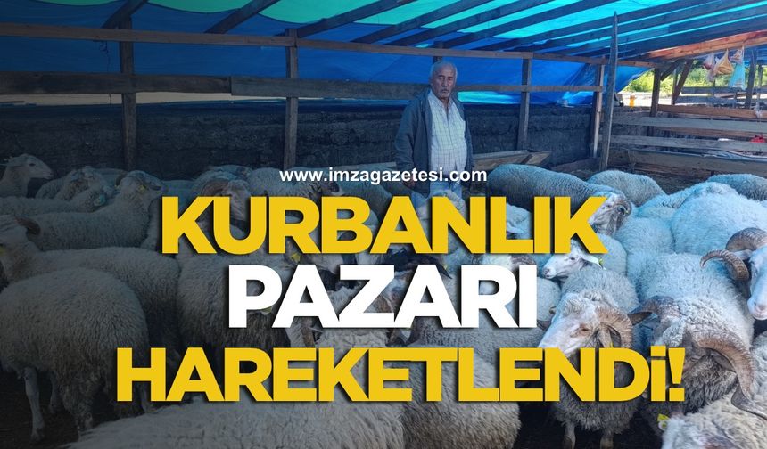 Zonguldak’ta kurbanlık pazarında hareketlilik başladı!
