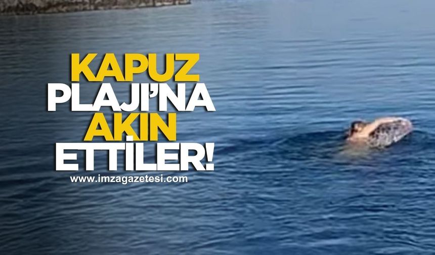 Kapuz Plajı'nda sezon açıldı!