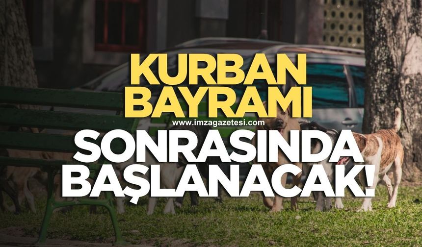 Kurban Bayramı sonrası başlanacak!
