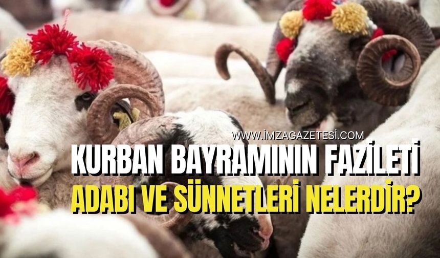 Kurban Bayramının Fazileti, Adabı ve Sünnetleri Nelerdir?