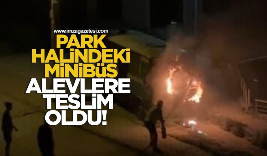 Park halindeki minibüs alevlere teslim oldu