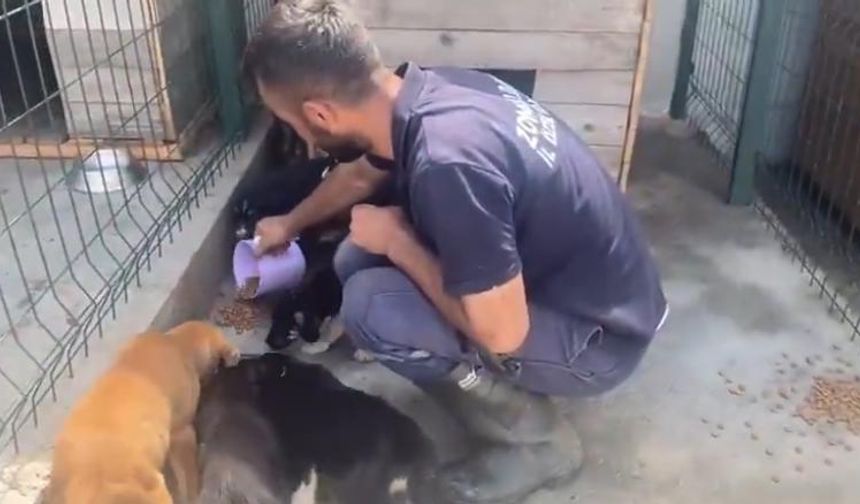 Zonguldak'ta Can Dostlar İçin Umut Yeşerdi!