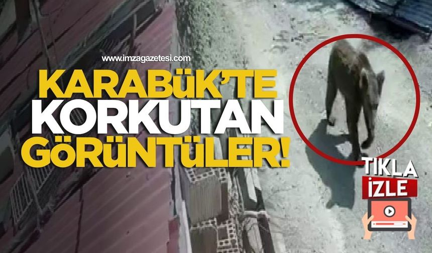 Karabük'te korkutan görüntüler!