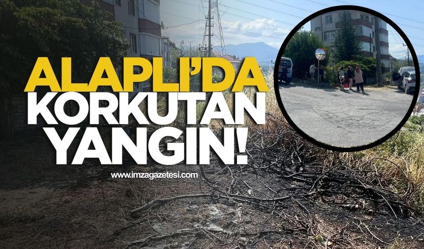 Alaplı'da Korkutan Yangın! Elektrik Direğinden Düştü!