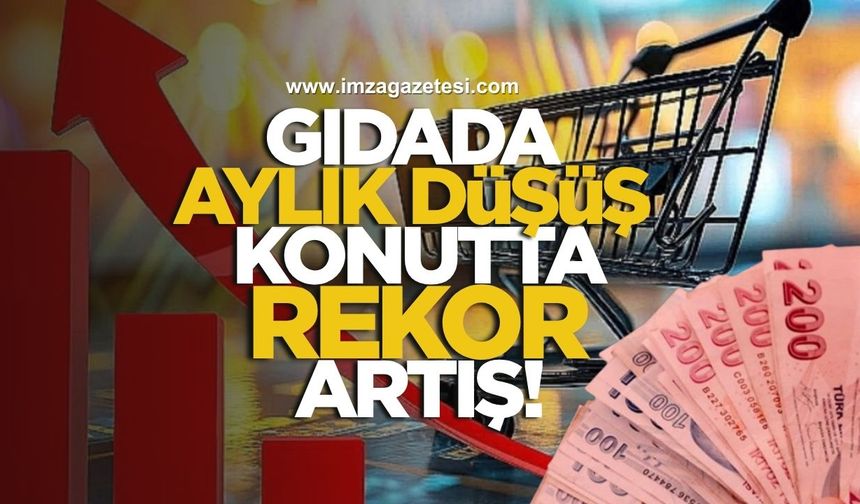 Gıdada Aylık Düşüş, Konutta Rekor Artış!