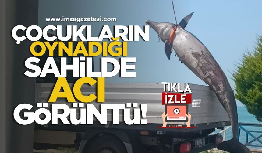 Çocukların Oynadığı Sahilde Acı Görüntü!