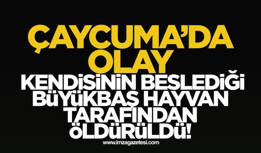 Çaycuma'da olay! Kendi hayvanı tarafından öldürüldü