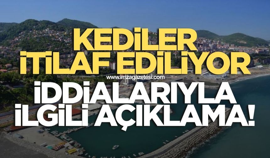 Kediler itlaf ediliyor iddialarına site yönetiminden cevap