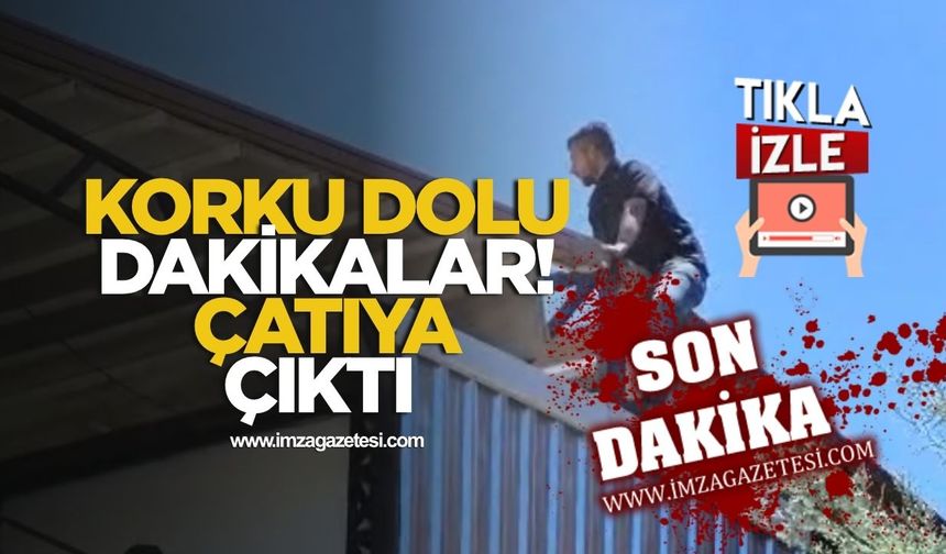 Korku Dolu Dakikalar! Kafe Çatısında Kendini Atmaya Kalktı