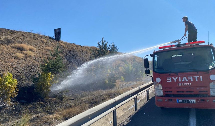 Yol kenarında ot yangını