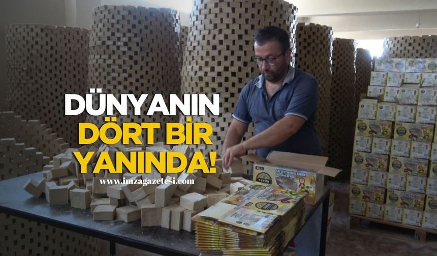 Zeytinyağından dünyaya açılıyor!