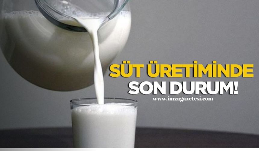 TÜİK açıkladı! Süt üretiminde son durum!
