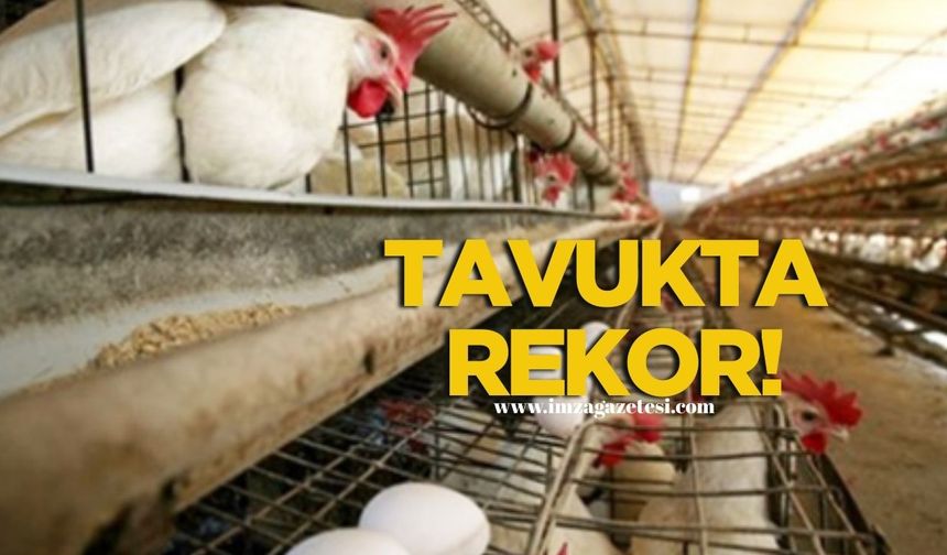 TÜİK açıkladı! Tavuk etinde rekor!