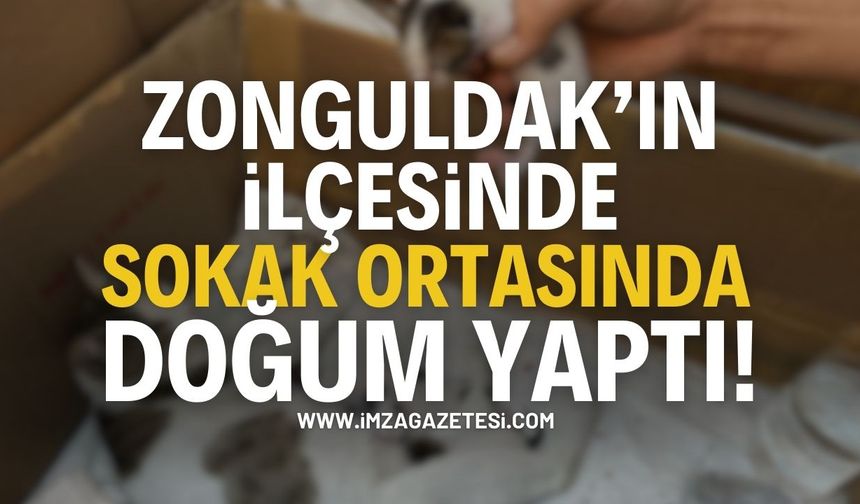 Zonguldak Alaplı'da Sokak Ortasında Doğum Yaptı!