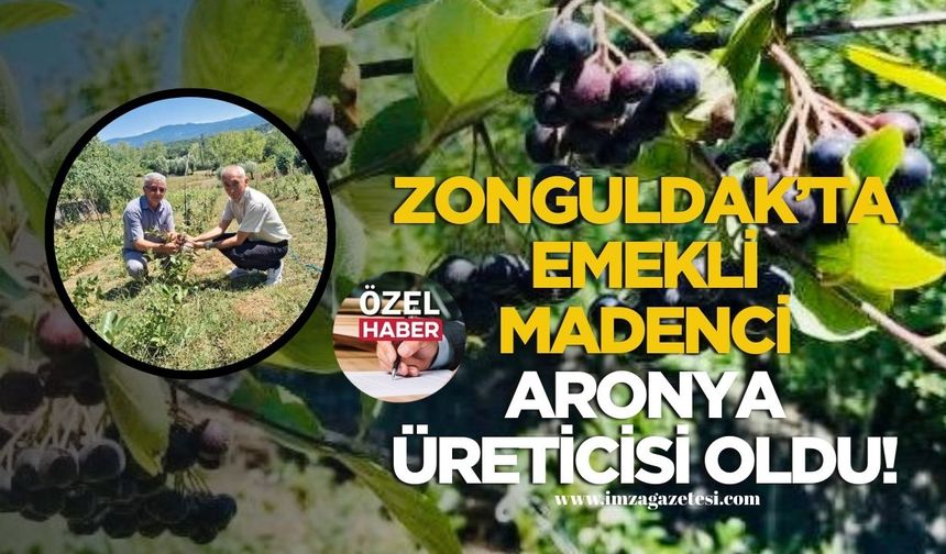 Zonguldak’ta emekli madenci aronya üreticisi oldu!