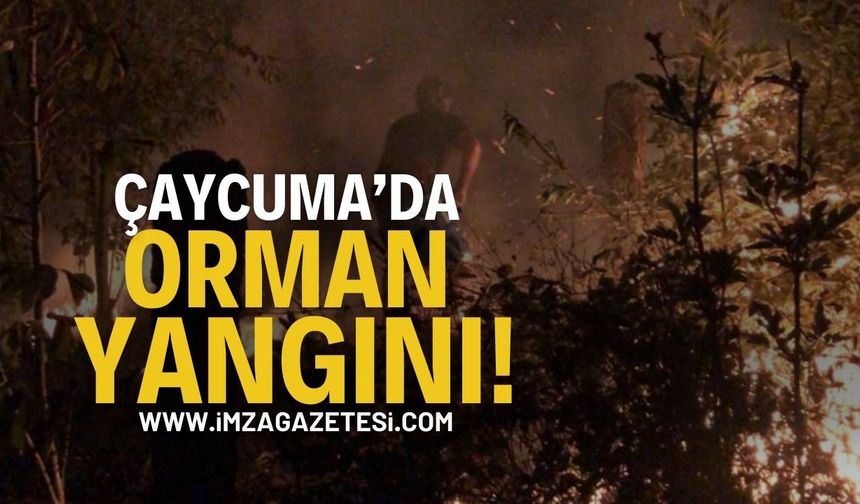 Zonguldak Çaycuma'da Yangın: İtfaiye Seferber
