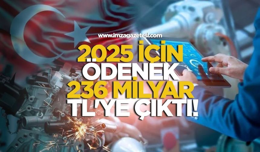 Ar-Ge Harcamaları Yükselişte! 2025 İçin Ödenek 236 Milyar TL'ye Çıktı!