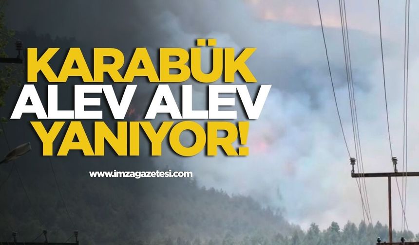 Karabük Arıcak'ta Orman Yangını! Hava Desteği Bekleniyor