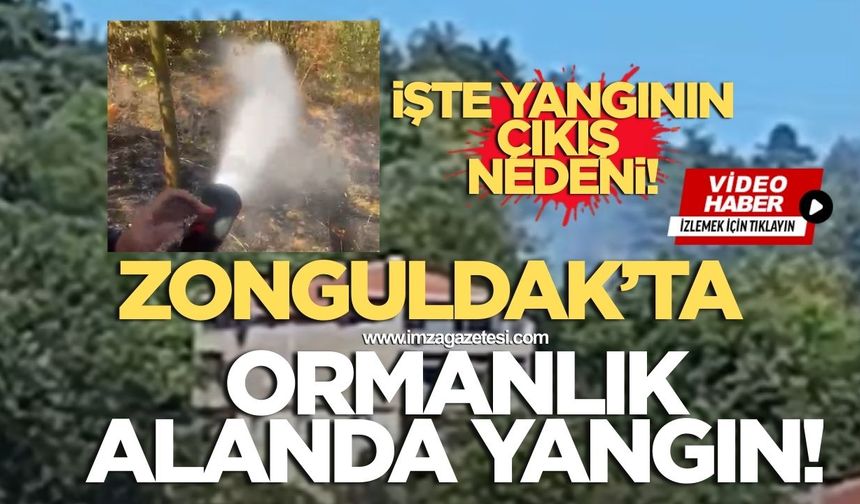 Zonguldak’ta ormanlık alanda yangın