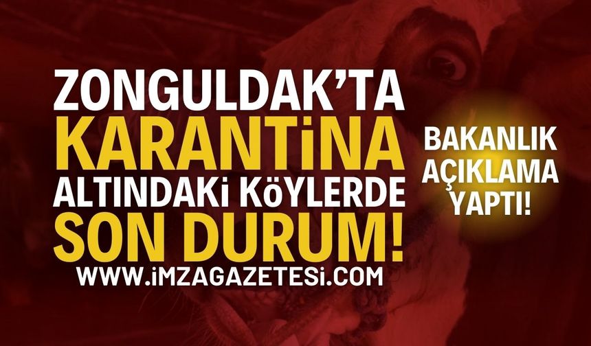 Zonguldak'ta Şap Krizi: Bakanlık Açıklama Yaptı!