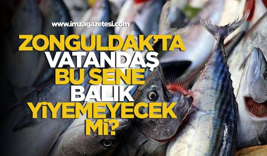 Palamutun azlığı, sıcak denizler ve iklim değişikliği av sezonunu vurdu!