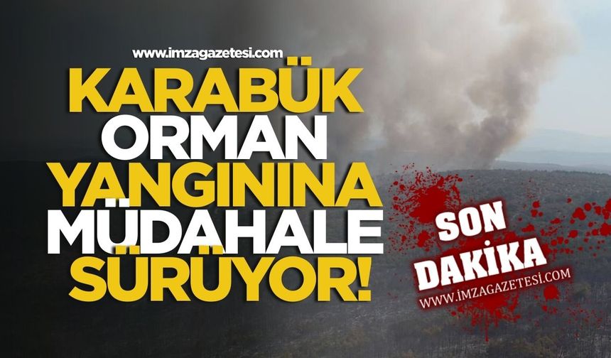 Karabük orman yangınına müdahale sürüyor!