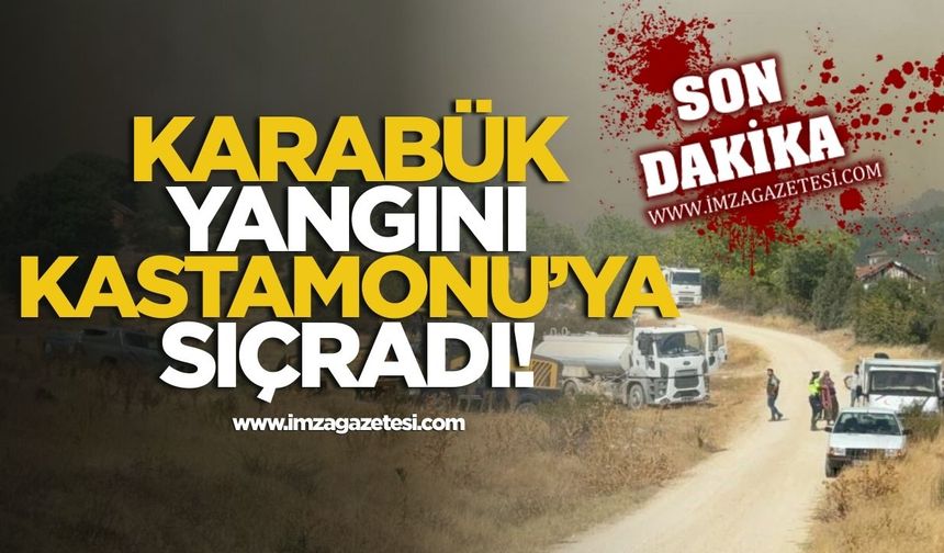 Karabük yangını Kastamonu'ya sıçradı!