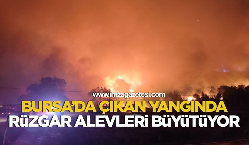 Bursa'da Çıkan Yangında, Rüzgar Alevleri Büyütüyor!
