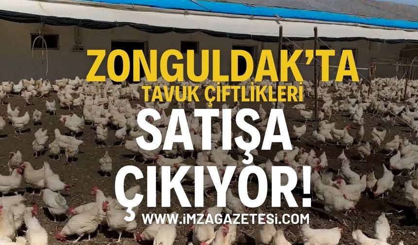 Zonguldak’ta Tavuk Çiftlikleri ve İki Katlı Bina İcradan Satışa Çıkıyor!