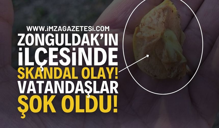 Zonguldak'ın İlçesinde Skandal Olay: Vatandaşlar Şok!