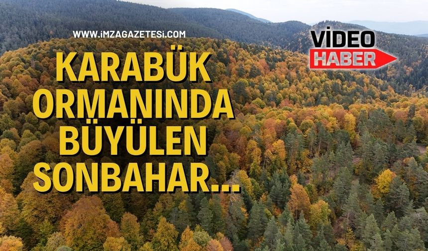 Karabük Ormanında Büyüleyen Sonbahar...