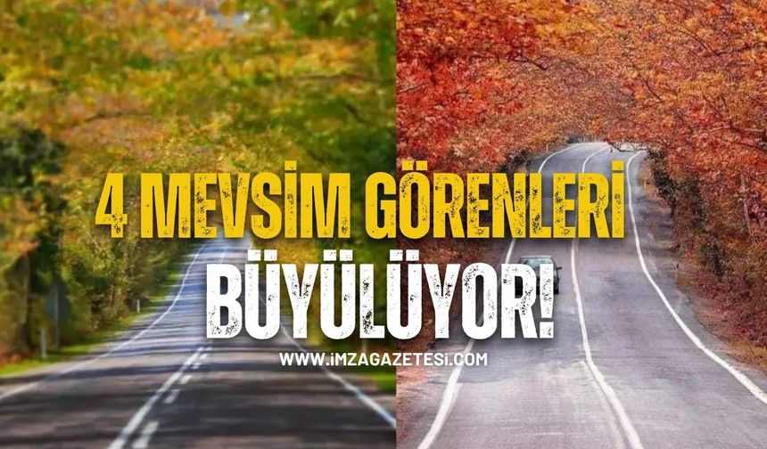 Karabük-Bartın Arasındaki Ağaç Tünelleri Görenleri Büyülüyor...