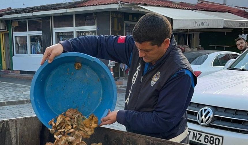 Devrek'te Mantar Operasyonu! Tek Tek İmha Edildi!