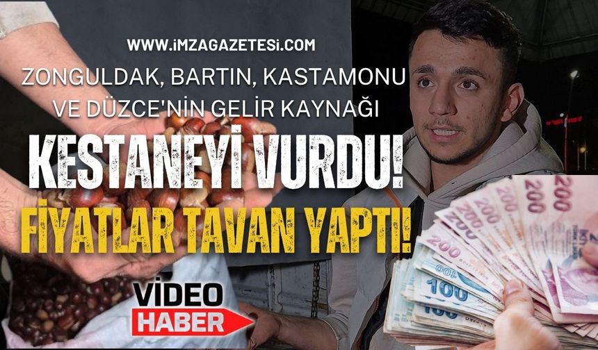 Zonguldak, Bartın, Kastamonu ve Düzce'nin Gelir Kaynağı Kestaneyi Vurdu! Fiyatlar Tavan Yaptı!