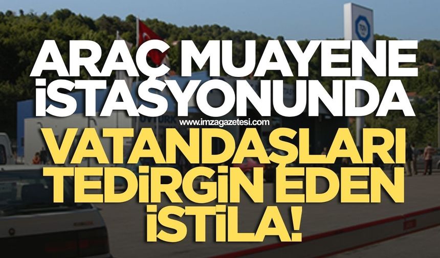 Zonguldak'ta Araç Muayene İstasyonunda Vatandaşları Tedirgin Eden İstila