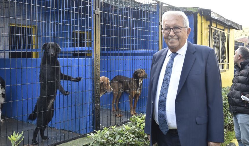 Ereğli Belediyesi, Sokak Hayvanları Barınma Evi’nin Kapasitesini Artırıyor